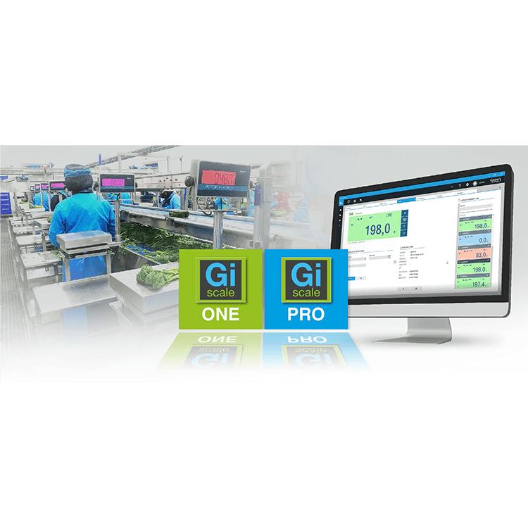 GISCALEPRO Weighing Management System Software