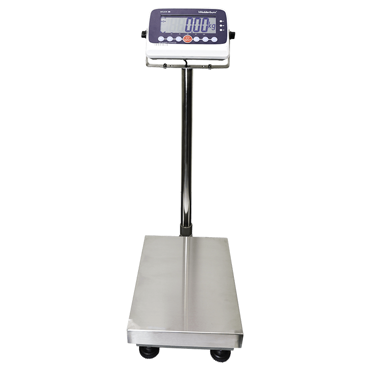 WS209B General Purpose Scales Front Angle