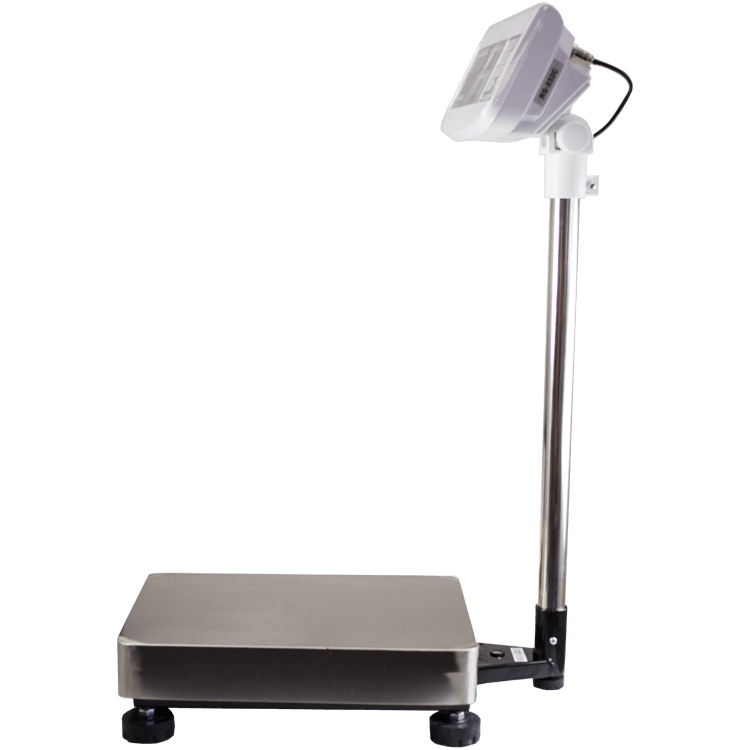 WS303 Counting Scales left side view