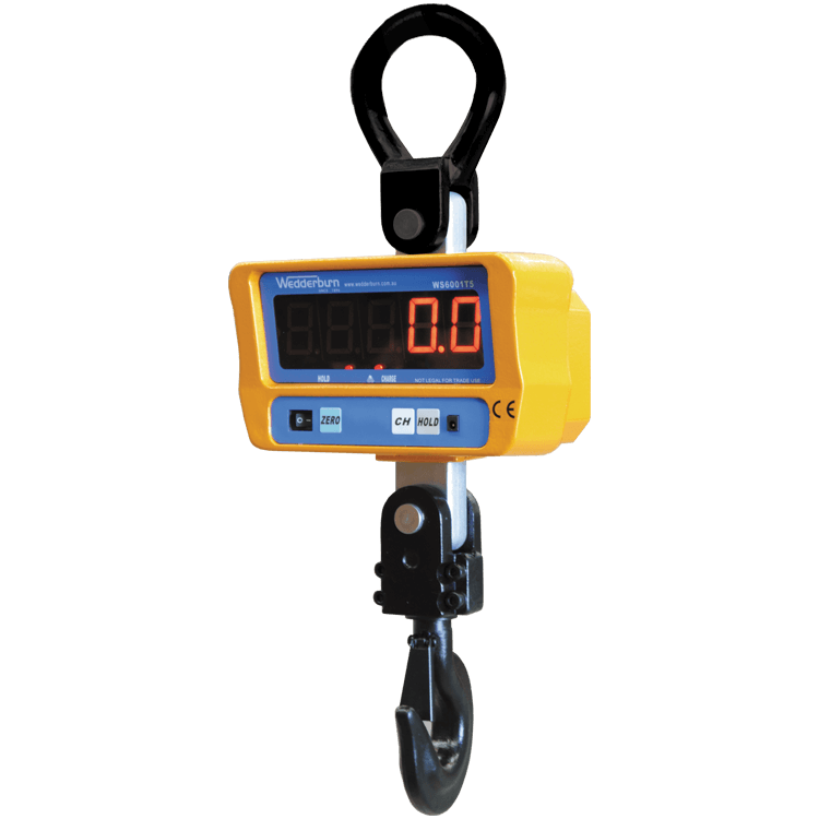 WS600 Crane Scale Facing Right