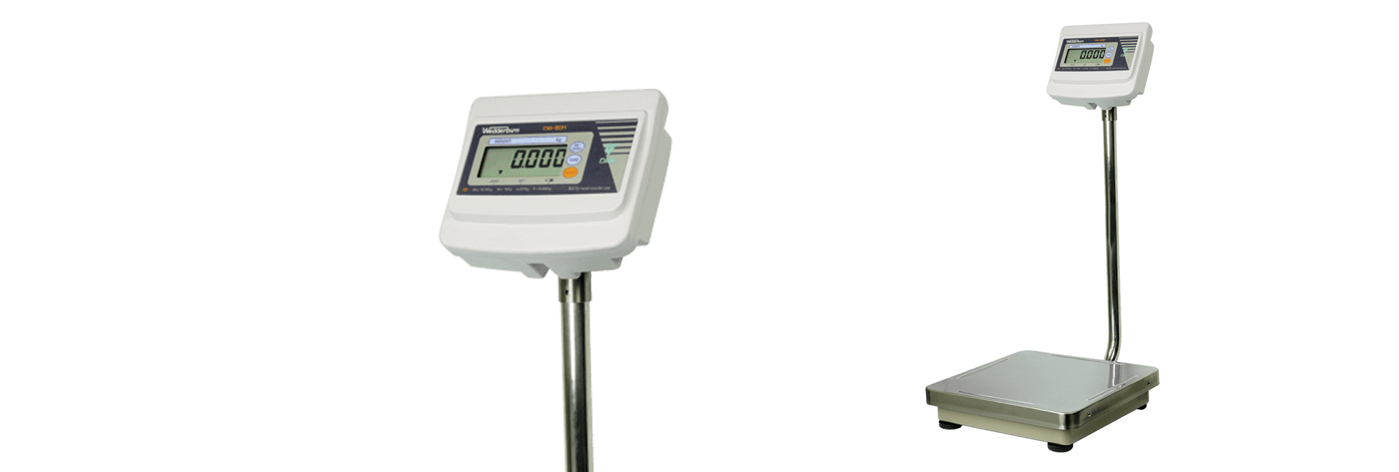 general purpose scales banner