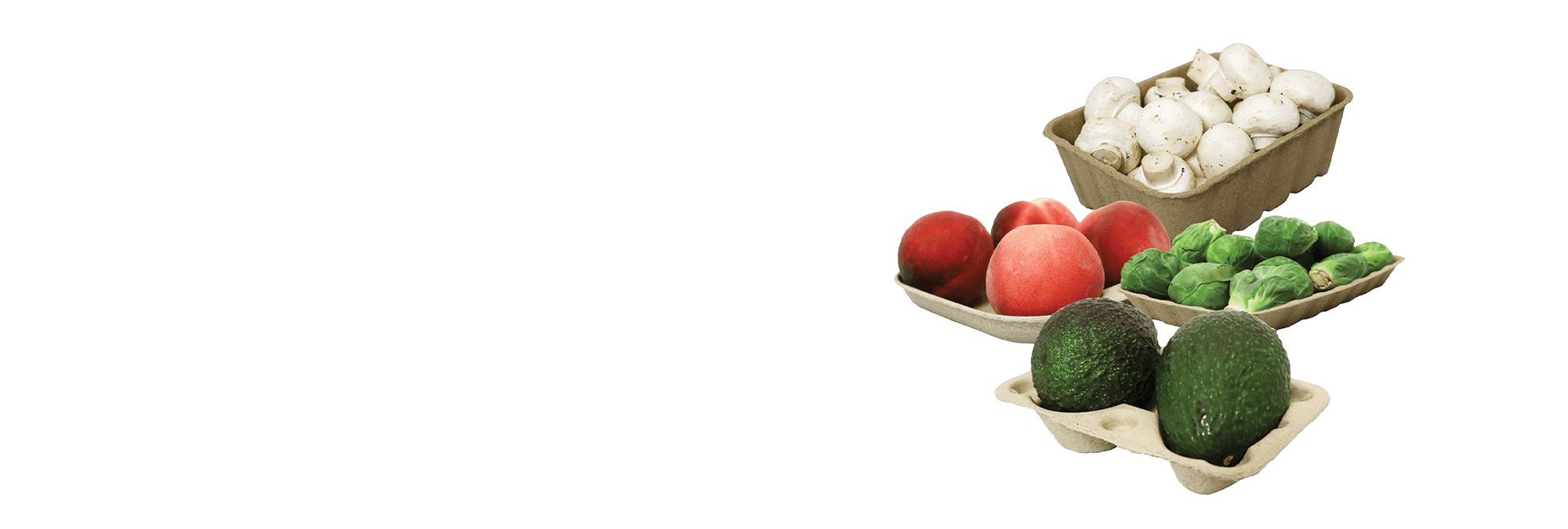 paddy straw trays banner