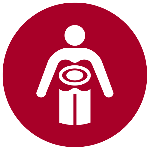 Visceral fat